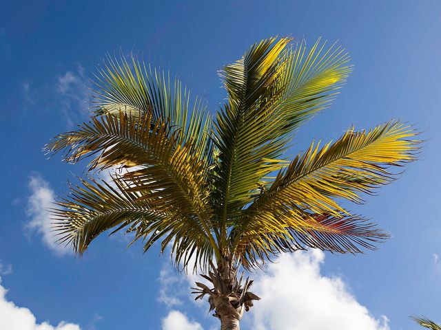 Jadie and Parker's Wedding in Cancun, Mexico 139