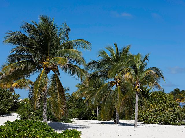 Jadie and Parker's Wedding in Cancun, Mexico 163