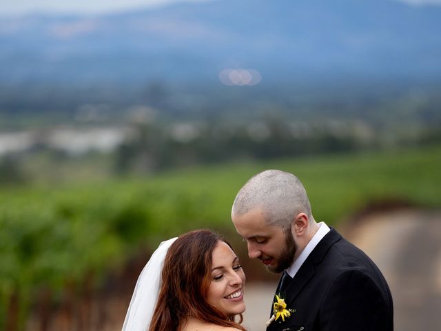 Joey and Jessica&apos;s Wedding in Sebastopol, California 10