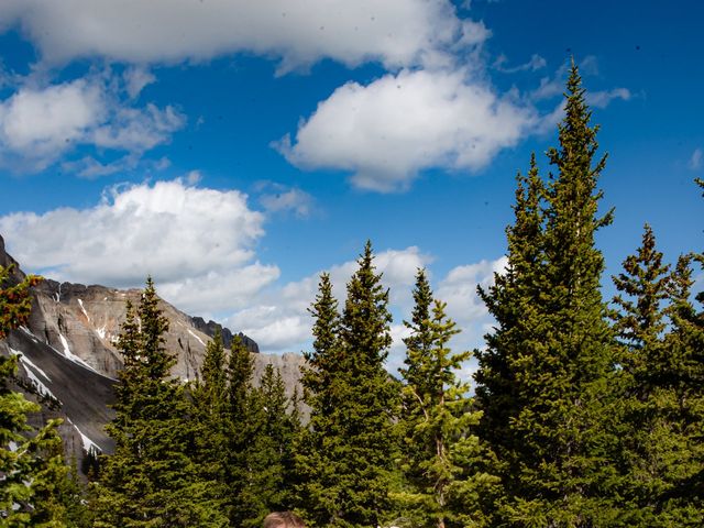 Michael and Kate&apos;s Wedding in Ridgway, Colorado 40