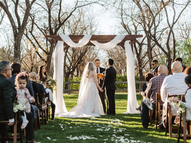 Amir and Rachel&apos;s Wedding in Phoenix, Arizona 39