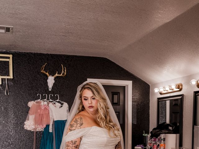 Curtis  and Sarah 's Wedding in Ardmore, Pennsylvania 4