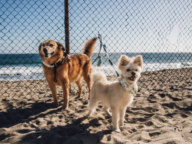 Lee and Vicky&apos;s Wedding in Malibu, California 35