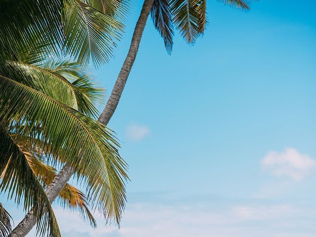 Michail and Victoriya&apos;s Wedding in Bayahibe, Dominican Republic 76