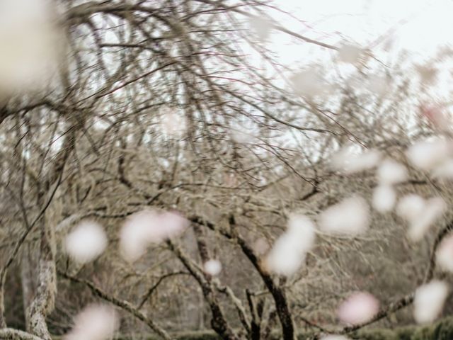 Brent and Diane&apos;s Wedding in Highlands, North Carolina 2