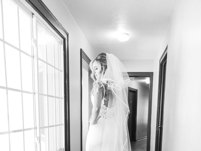 Mitchell and Stephanie&apos;s Wedding in Howell, Michigan 37