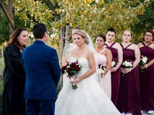 Samantha and Mike&apos;s Wedding in Woodland, California 78