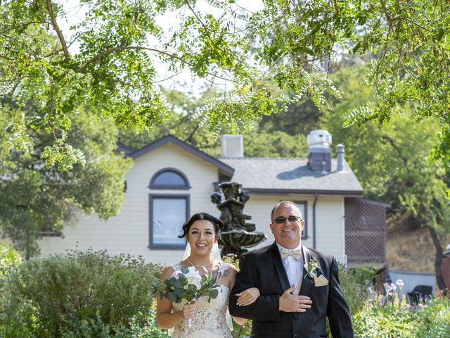 Seth and Melissa&apos;s Wedding in Sunol, California 11