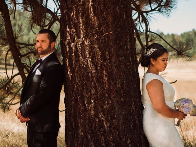 Mike and Krista&apos;s Wedding in Mount Laguna, California 27