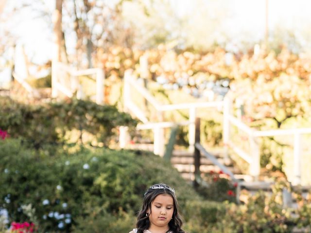 David and Fairlight&apos;s Wedding in Temecula, California 16