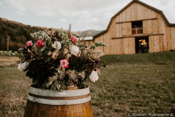 Keagan and Katie&apos;s Wedding in Luray, Virginia 4