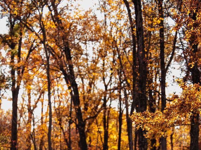 Caitlin and Evan&apos;s Wedding in Honey Brook, Pennsylvania 13