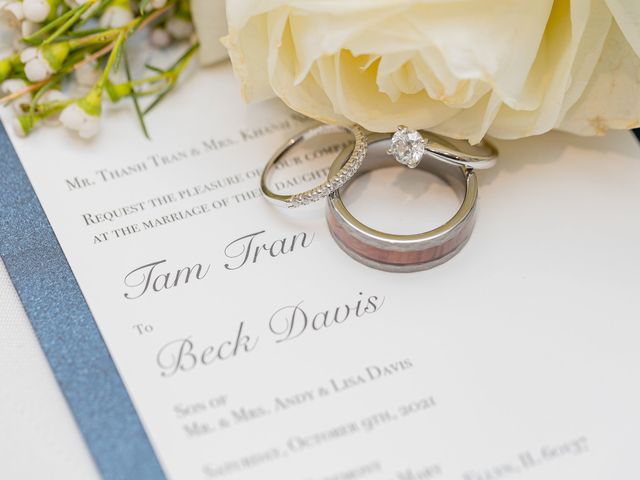 Tam and Beck&apos;s Wedding in Darien, Illinois 225