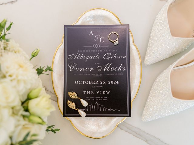Conor and Abbie's Wedding in Cincinnati, Ohio 42
