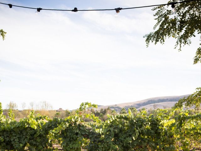 Aimee and Mike&apos;s Wedding in Sonoma, California 14