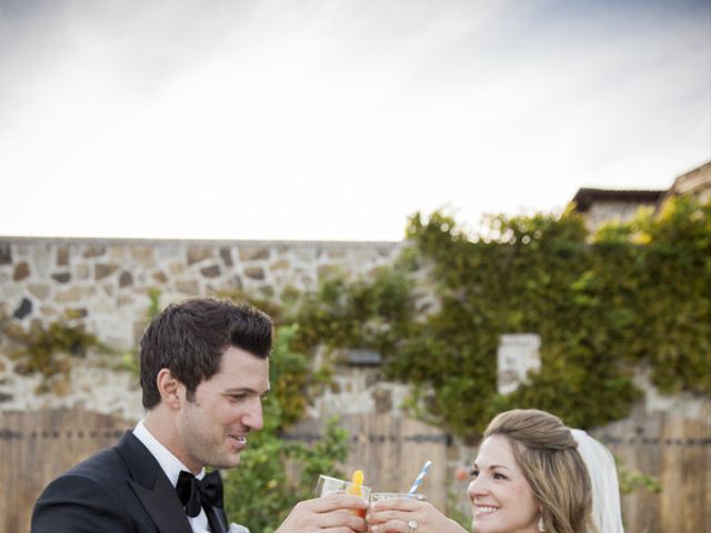 Aimee and Mike&apos;s Wedding in Sonoma, California 9