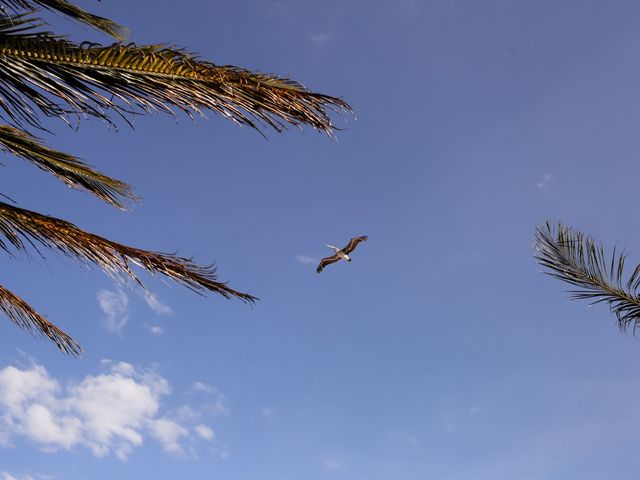 Stephen and Xhemile's Wedding in Tulum, Mexico 204