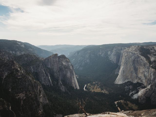 Chris and Margaret's Wedding in Yosemite National Park, California 16