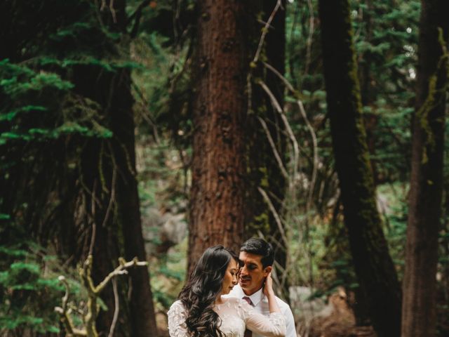 Chris and Margaret's Wedding in Yosemite National Park, California 17