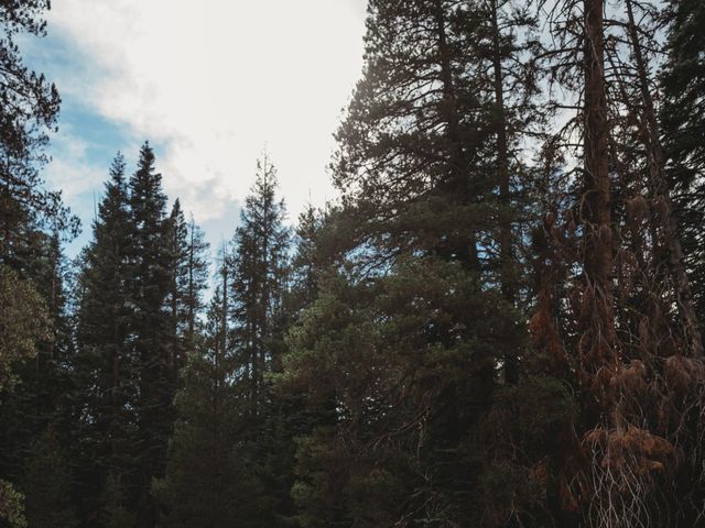 Chris and Margaret's Wedding in Yosemite National Park, California 20