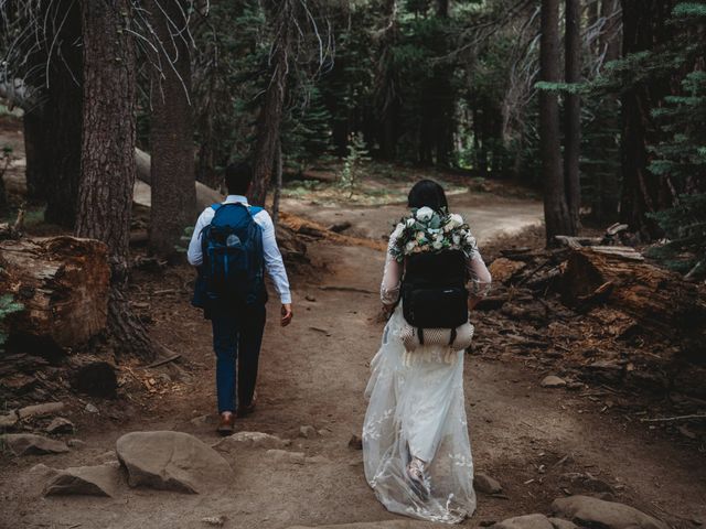 Chris and Margaret's Wedding in Yosemite National Park, California 21