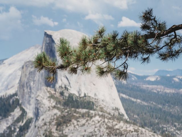 Chris and Margaret's Wedding in Yosemite National Park, California 58