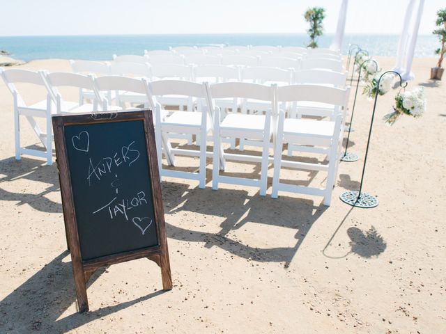 Taylor and Anders&apos;s Wedding in San Diego, California 7
