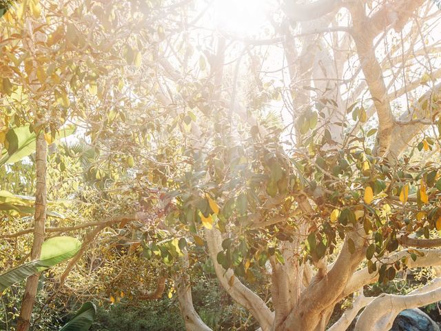 Cole and Tasha's Wedding in San Diego, California 39