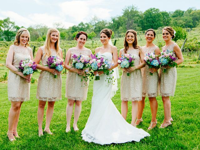 Stephanie and Chris&apos;s Wedding in Bluemont, Virginia 8