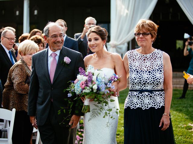 Stephanie and Chris&apos;s Wedding in Bluemont, Virginia 13