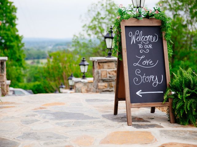 Stephanie and Chris&apos;s Wedding in Bluemont, Virginia 10