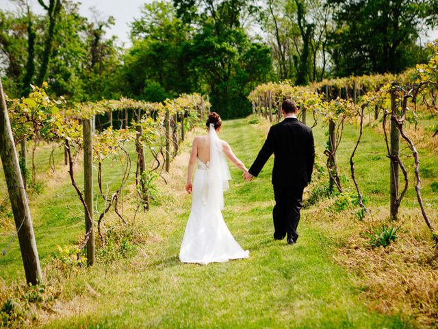 Stephanie and Chris&apos;s Wedding in Bluemont, Virginia 15