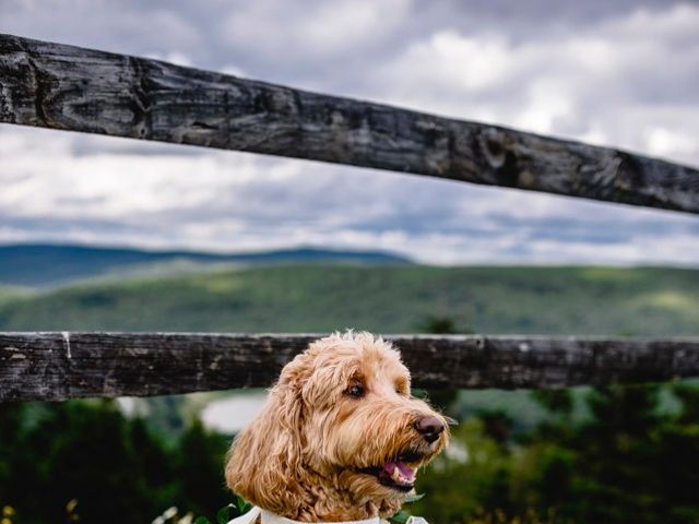 Eric and Ashley&apos;s Wedding in Snowshoe, West Virginia 57