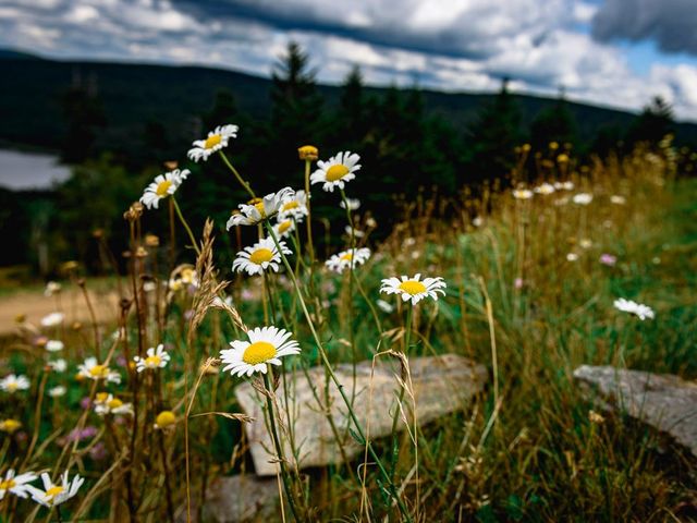 Eric and Ashley&apos;s Wedding in Snowshoe, West Virginia 85