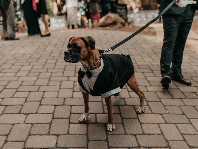 Ian and Jenny&apos;s Wedding in Ben Lomond, California 9