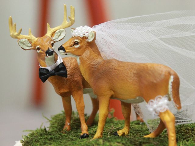 Jeff and Jessica&apos;s Wedding in Eldorado, Illinois 30