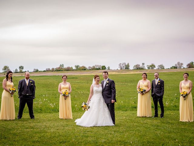 Matt and Amy&apos;s Wedding in Mokena, Illinois 15