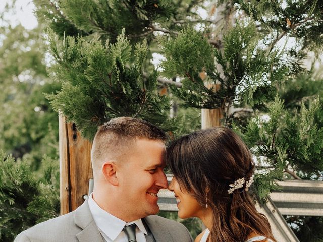 Brian and Allie's Wedding in Camino, California 6