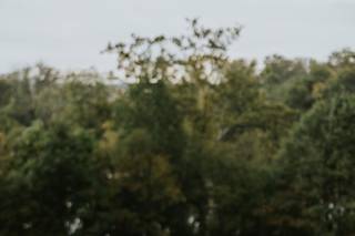 John James Audubon Center at Mill Grove - 10