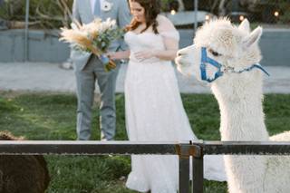 Kristen Joy Photography - 6