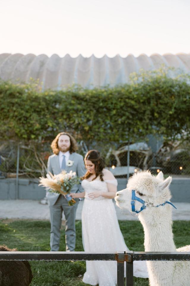 Kristen Joy Photography - 2
