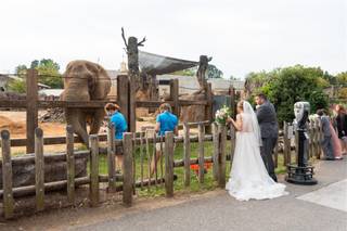 Zoo Knoxville - 34