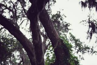 Jamie Akers Photography - 6