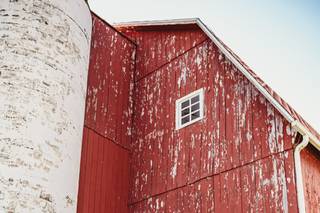 The Little Red Barn of Nunica, LLC - 36