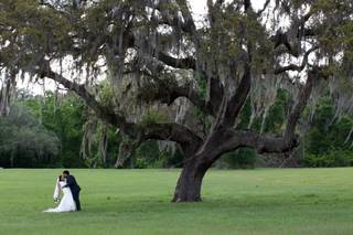 October Oaks - 30