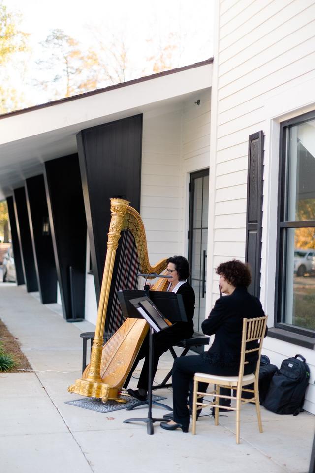 Laura Byrne Harpist - 2