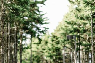 Jenny Reese Photography - 5