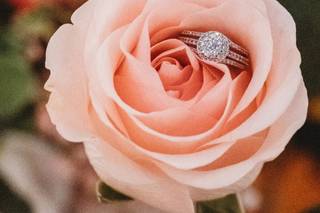 Paradis Photography - 17