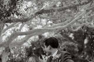 Pamela Tatz Photography - 13