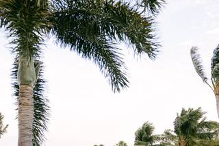 Cornelia Zaiss Photography - 27